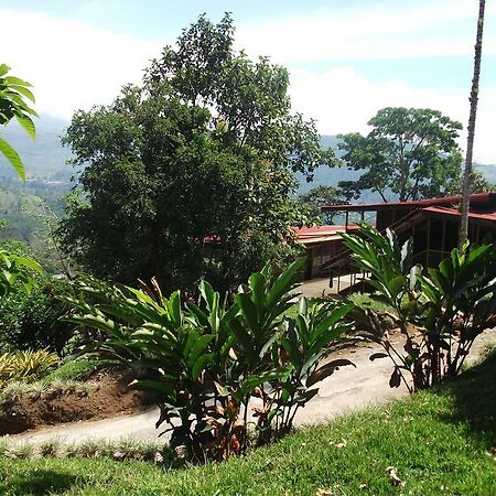 Green Mountain And Lodge Turrialba Ngoại thất bức ảnh