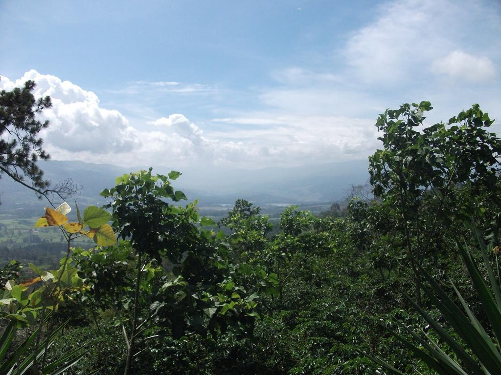 Green Mountain And Lodge Turrialba Ngoại thất bức ảnh