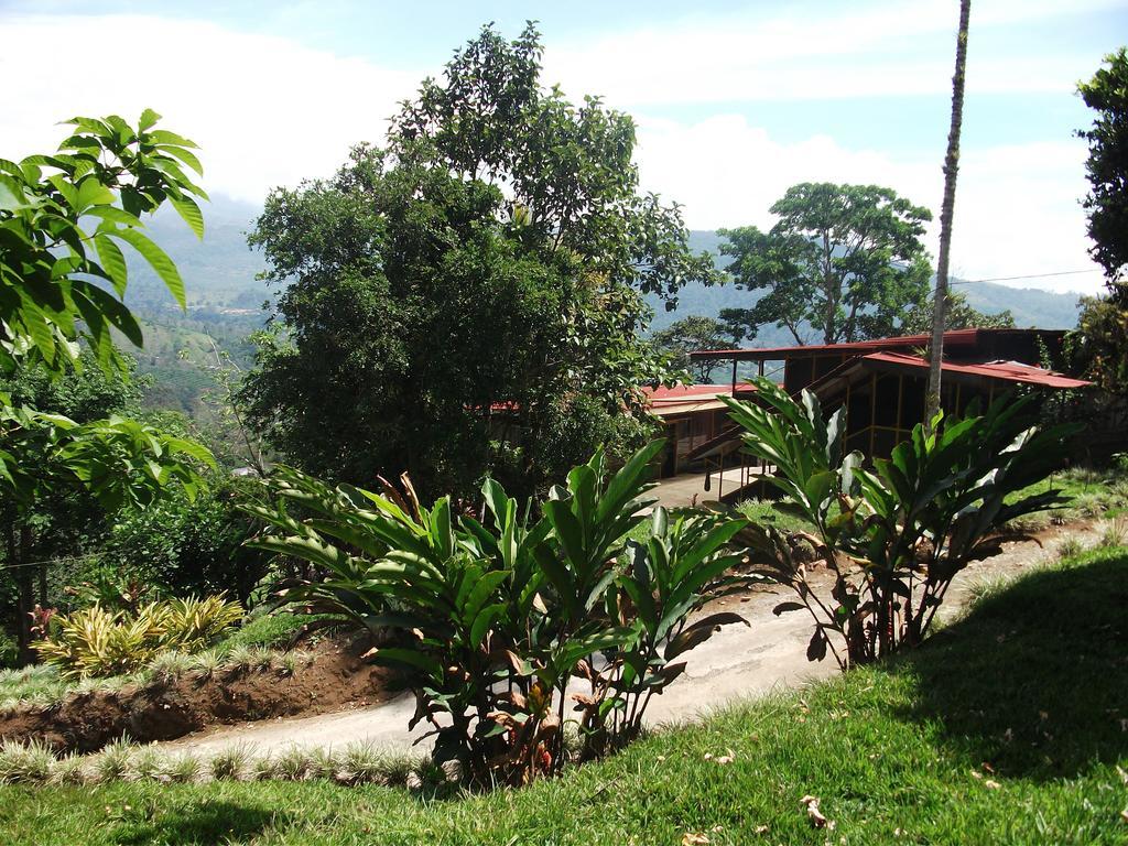 Green Mountain And Lodge Turrialba Ngoại thất bức ảnh