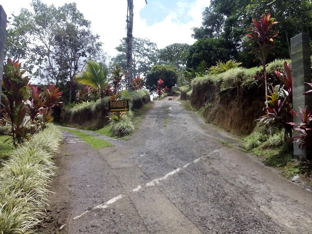 Green Mountain And Lodge Turrialba Phòng bức ảnh