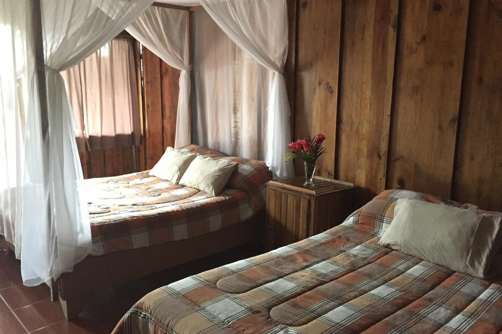 Green Mountain And Lodge Turrialba Ngoại thất bức ảnh