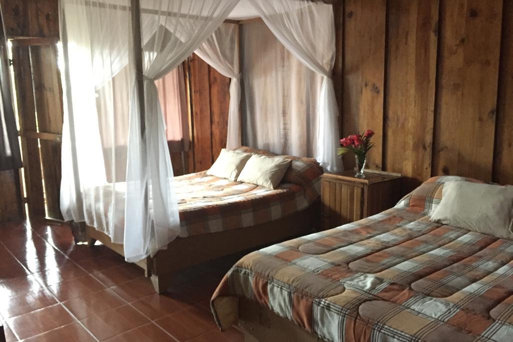 Green Mountain And Lodge Turrialba Ngoại thất bức ảnh