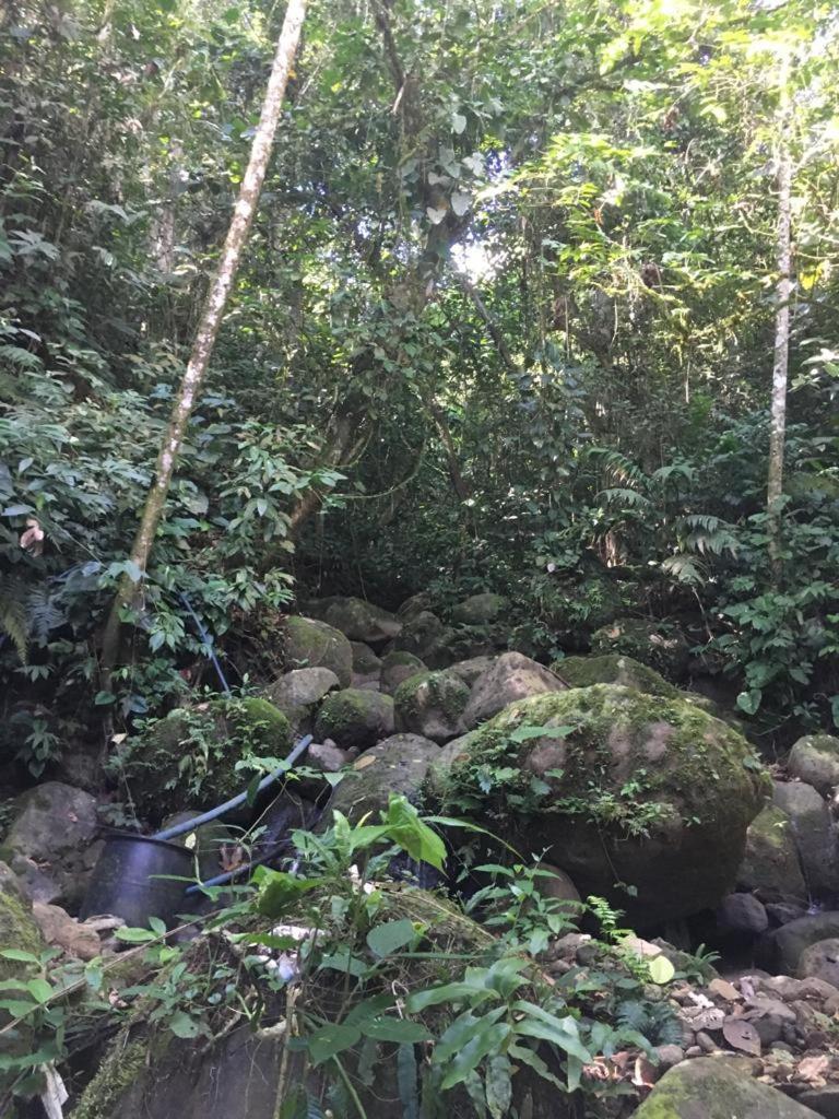 Green Mountain And Lodge Turrialba Ngoại thất bức ảnh