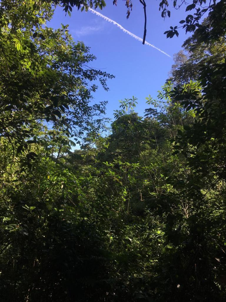 Green Mountain And Lodge Turrialba Ngoại thất bức ảnh